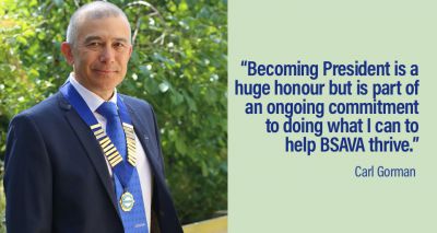 BSAVA announces new president